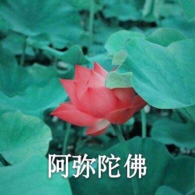 廖连平