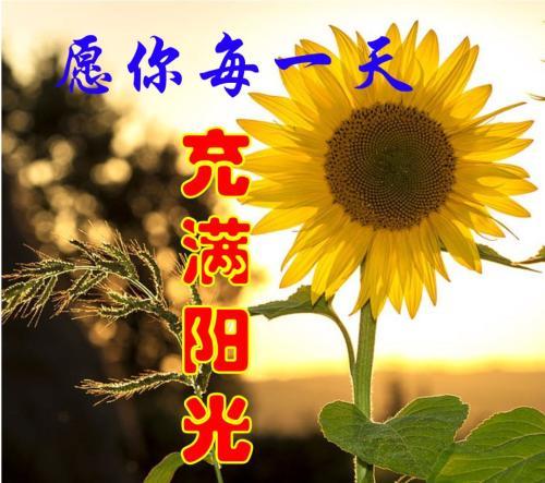 邓燕