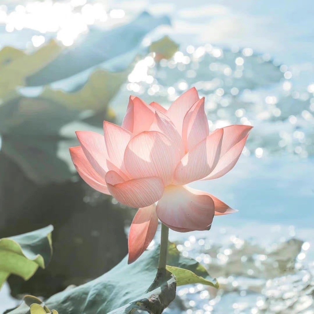 王佳丽