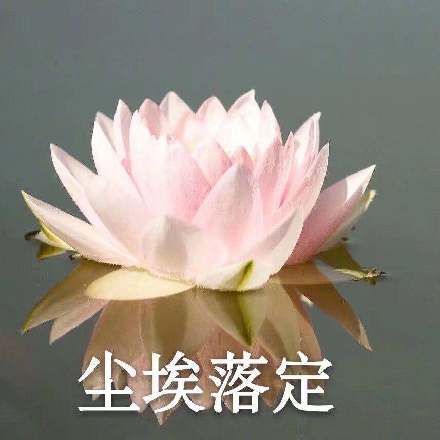 胥钓洁