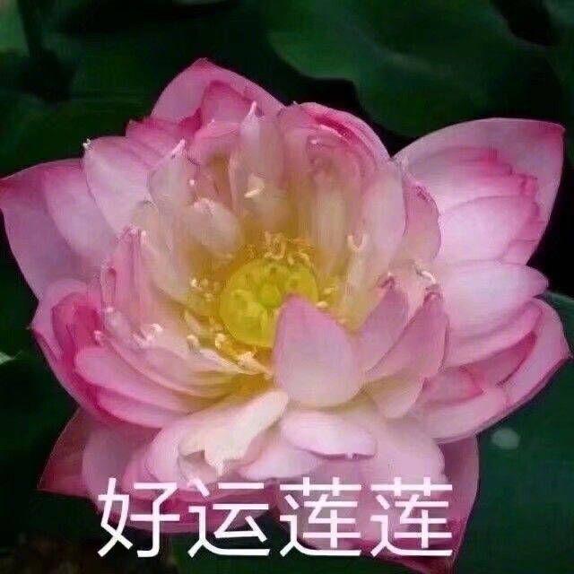 张从云