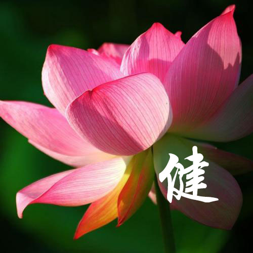 孔乐