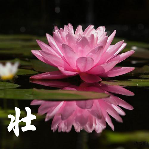 李徽毅