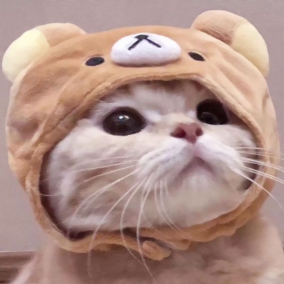 用户头像
